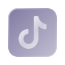 TikTok Video icon